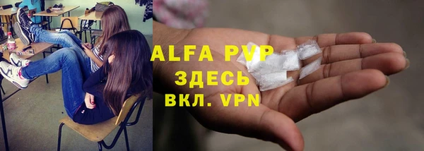 сатива Няндома